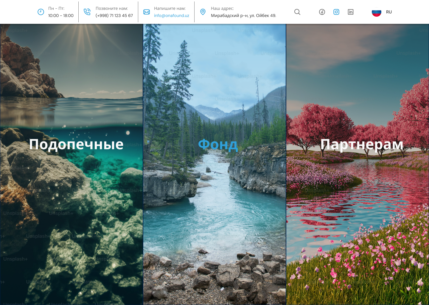 Разработка официального сайта для ONA FOUNDATION